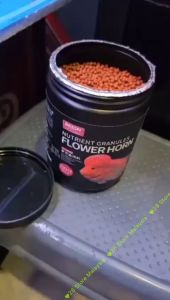 BESSN High Protein 42% Special Floating Fish Feed for Flower Horn/Flowerhorn