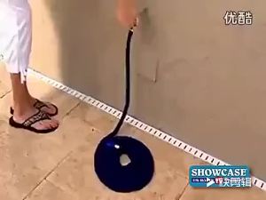 [selected]Magic Stretch Flexible Expandable 3 x Expanding Garden Hose