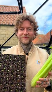 Ventura Celery Seeds - Biodynamically Grown and Organic- Non Hybrid & Non GMO