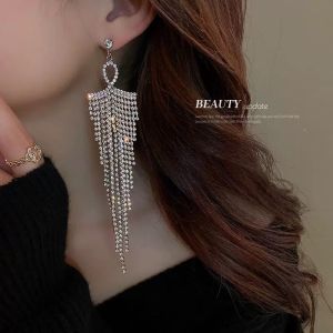 Silver Earrings 925: Princess Hoop Earrings & Dangling Earrings for Women