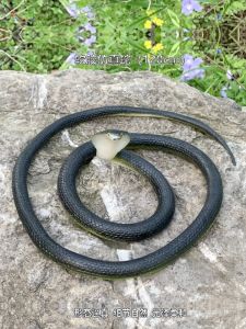 Large Soft Rubber Snake Long Artificial Snake Kids Toy Snake Cobra Scary Fake Snake Crawling Animal Model Ornaments