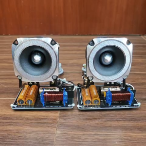 Loa Siêu Treble Pioneerr P8804 Lắp Phân Tần Cao Cấp EWT8