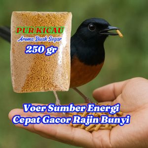 Voer/Pur Murai. Pur Kicau Burung Murai. Jalak Kutilang Kacer Trucuk Cucak Ijo Dll. Pakan Makanan Burung Berkicau.