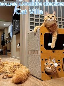 Integrated Wear-Resistant Cat Scratching Board Non-Shedding Couch Cat House Multi-Season Universal Toy for Cats And Kittens