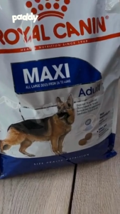 [10kg] Hạt Cho Chó Trưởng Thành Giống Lớn Royal Canin Maxi Adult