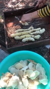 Sáp Ong Nguyên Chất 200g : Tự Làm Nến Thơm Son dưỡng môi  Xà Phòng Vật Liệu Làm Bánh - HÀNG CHÍNH HÃNG