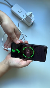 Longhe 9V2A ultra-fast intelligent temperature control charger