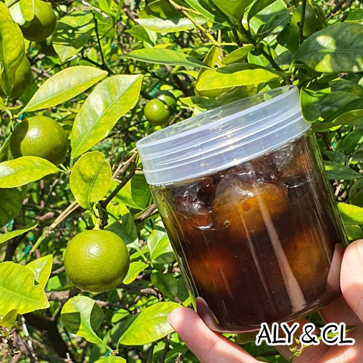 桔子酸梅932 Calmansi Sour Plum Limau Kasturi Asam Lazada Lazada