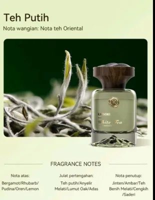 Kathwi Car Air Freshener (Original) Oud Floral Green Tea - Antibacterial 99.1% Effective Long-lasting Fragrance for Cars