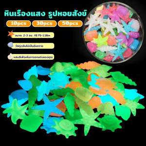 AIK หินเรืองแสง รูปหอยสังข์ ตกแต่งสวน หรือตู้ปลา ขนาดหิน 2-3cm luminous stone