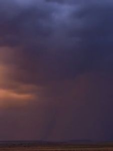 เสื้อกันฝน EVA ☔️ ชุดแฟชั่นเกาหลี Free size แขนจั้ม 24 ชุด น้ำหนักเบาพกพาสะดวก ทันสมัยราคาถูก ยืดหยุ่น ชุดกันฝน 💦 สำหรับผู้สูงสุด 260cm และขนาด 165 x 110cm