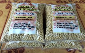 PROMOO !! 1 KG BENIH KEDELAI GROBOGAN SUPER