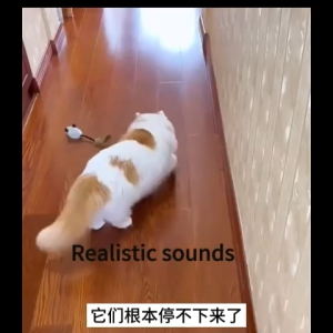 Interactive Electric Cat Toy Set Teaser Balls Toy Mouse Fluttering Butterfly Scratching Board
