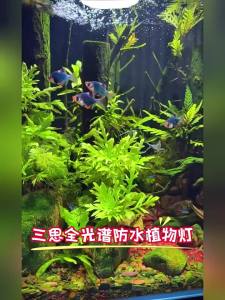 Sansi | Waterproof Full Spectrum Plant Grow Light