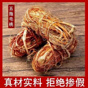 Wild Five-Fingered Chestnut Root Soothing Warming Fresh Traditional Chinese Medicine for Soup Making And Brewing Alcohol
