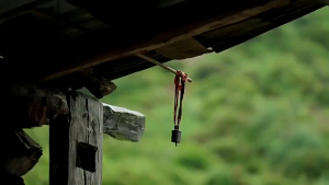 松茸鲜 菌菇粉 松鲜鲜调料 复合调味料代替鸡精味精炒菜煲汤提鲜无添加 Mushroom Powder Condiment (Halal & 100% Natural) 100g