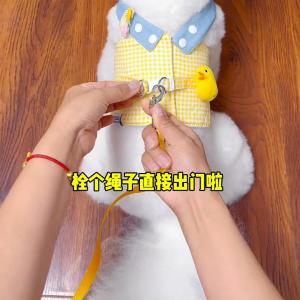 ฤดูร้อน หมวกกันแดดสุนัข Teddy Bichon เปิดหูหมวกตกปลาสุนัขขนาดเล็กลูกสุนัขหมวกป้องกันแสงแดดอุปกรณ์เสริมสําหรับสัตว์เลี้ยงเสื้อผ้าสัตว์เลี้ยงหมวก