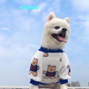 Quần áo thu đông nhung mịn họa tiết thú cưng cho chó mèo giữ ấm phụ giá rẻ dễ thương cute phụ kiện tốt - Gi Gi Pet Shop