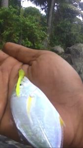 3 Buah Softlure Ajing Game Umpan Casting Ultralight Target Baby GT Viral