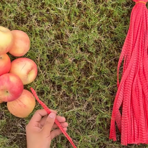 Dealforhome 🎡 【50 Pcs Poly Netting Bag】Fruit Vegetable Mesh Net Bag /Strong /Plastic Mesh Net Beg Jaring Buah Sayur Beg Berlubang 网袋
