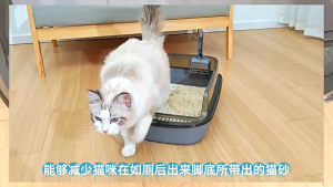 ห้องน้ำแมว กระบะทรายแมว ห้องน้ำแมวทรงโดม ป้องกันกลิ่นและแบคทีเรียที่ปิดสนิท ของขวัญ Cat Sand Shovel