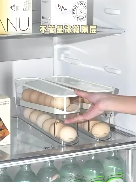 Egg Tray Double Layer Automatic Rolling Egg Tray Egg Rack Box Fridge Kitchen Organizer Egg Storage