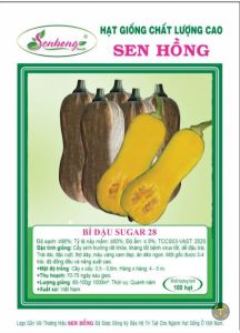Hạt giống bí đậu sugar 28 sen hồng gói 100 hạt.
