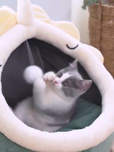 Cartoon Pet Bed Cat House Washable Cat Bed Dog Bed Soft Removable Puppy Kitten Bed  Pet Nest Rumah Kucing Tempat Tidur Kucing Katil Kucing 猫窩 猫床