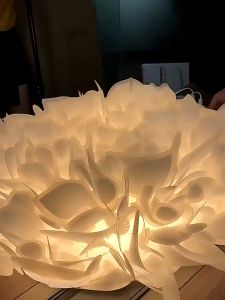 Đèn LED ốp trần phòng khách phong cách Bắc Âu thiết kế cánh hoa sáng tạo tối giản và hiện đại