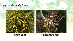 Neem Oil 99.9% (500ml Spray Btl)