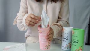 🐻DAILY2U🐻 5 TIN Car Bottle Tissue Soft Facial Tissue with 5 Bottle/box 3 Ply 40 Sheets per Bottle Tisu Lap Muka Kereta