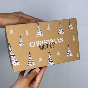 กล่องฝาชน ECO XMas Box [คละลาย] Size 2A - 20ใบ/แพ็ค : กล่องเทศกาลคริสมาสต์ กล่องพัสดุ รักษ์โลก PICK A BOX