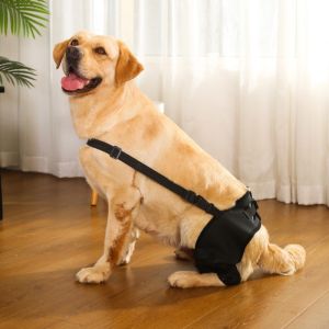 Dog Leg Support Adjustable Reflective Knee Pads Post-surgery Injury Protection Cover Rehabilitation Care Auxiliary Walking 1 Pair