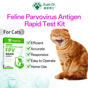 Xvet Dr ชุดทดสอบสัตว์เลี้ยง FPV RBV กระดาษทดสอบสำหรับแมวเหมียว Parvovirus Antigen ชุดทดสอบชุดทดสอบเร็ว