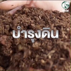 ฮิวมิคข้าวโพด โพแทสเซียมฮิวเมท100% ฮิวมิคฟื้นฟูดินเสื่อม เร่งรากเดิน เร่งโต ปรับสภาพดิน แก้ปัญหาโตช้า ฟื้นฟูระบบราก เพิ่มประสิทธิภาพปุ๋ย ละลายน้ำ100% ทาร์โบฮิวมิก 1 กิโลกรัม