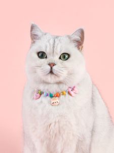Colorful Pearl Pet Necklace Bear Maltese Cat Princess Cartoon Rainbow Mermaid Princess Collar for Small Dogs And Cats