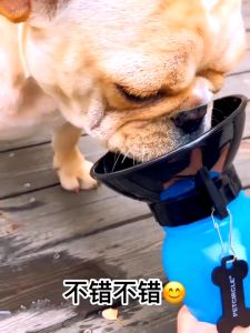 Dog Water Bottle Water Dispenser Drinking Feeder for Pets Outdoor Walking Hiking Travel