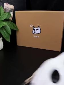ECAC | Dép Nam Hè Hỗ Trợ Cung Chân Chống Trượt Không Mùi Thoáng Khí