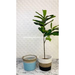 Tanaman Artificial Pohon Imitasi Ketapang X2 T120 Pot Dasar Cover Anyaman Seagrass Handle Dekorasi Rumah
