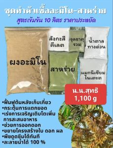 อะมิโนสาหร่าย สูตรทำเองแบบ 10 ลิตรราคาประหยัด ช่วยให้พืชโตเร็วติดดอกติดผลดีผลโตเร็ว