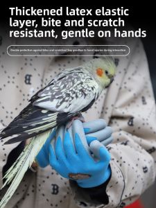 Terrain Kun | Bird Training Protective Gloves For Kids Breathing Anti-Slip Thick Latex