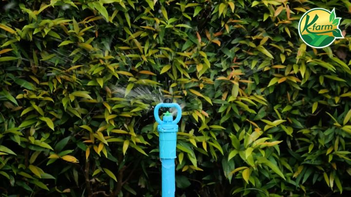 มินิสปริงเกอร์ K FARM ใบกันแมลง เกลียวนอก 4 หุน ให้น้ำฝอยละเอียด 5 อัน