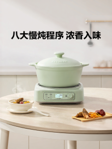 BUYDEEM | Multipurpose Electric Stew Pot