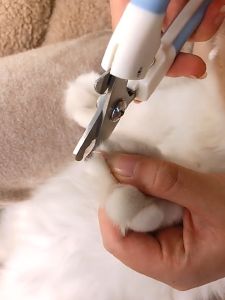 Pet Dog Cat Nail Cutter Pet Grooming Tools With Nail File Pet Toe Care Stainless Nail Clippers