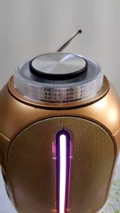 CROWNSTAR KUKU Rechargeable AM/FM/SW Bluetooth Radio with USB/SD/TF MP3/MP4 Player AM-331BT