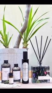 Aroma Matters Marina Bay Reed Diffuser Made In Korea 120ml and 250ml