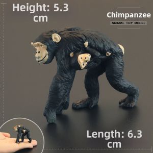 MENGSILE | Early Education Cognition Animal Models