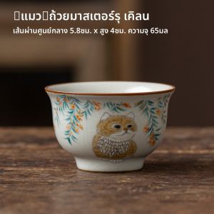 ชุดชาเซรามิกสุดหรูพร้อมถ้วยชาสำหรับเจ้าของบ้าน ถ้วยชาขนาดเล็ก ถ้วยชา ชุดชา ชิ้นส่วน ชุดชาแบบส่วนบุคคล