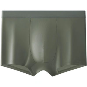 Mens Ice Silk Briefs Thin Model Underwear Cotton Crotch Summer Short Pants Seamless mid Waist Sport Style Youth Suitable