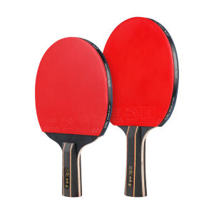 Double Fish | High Elastic Professional Level Ping Pong Paddle Set For Beginners